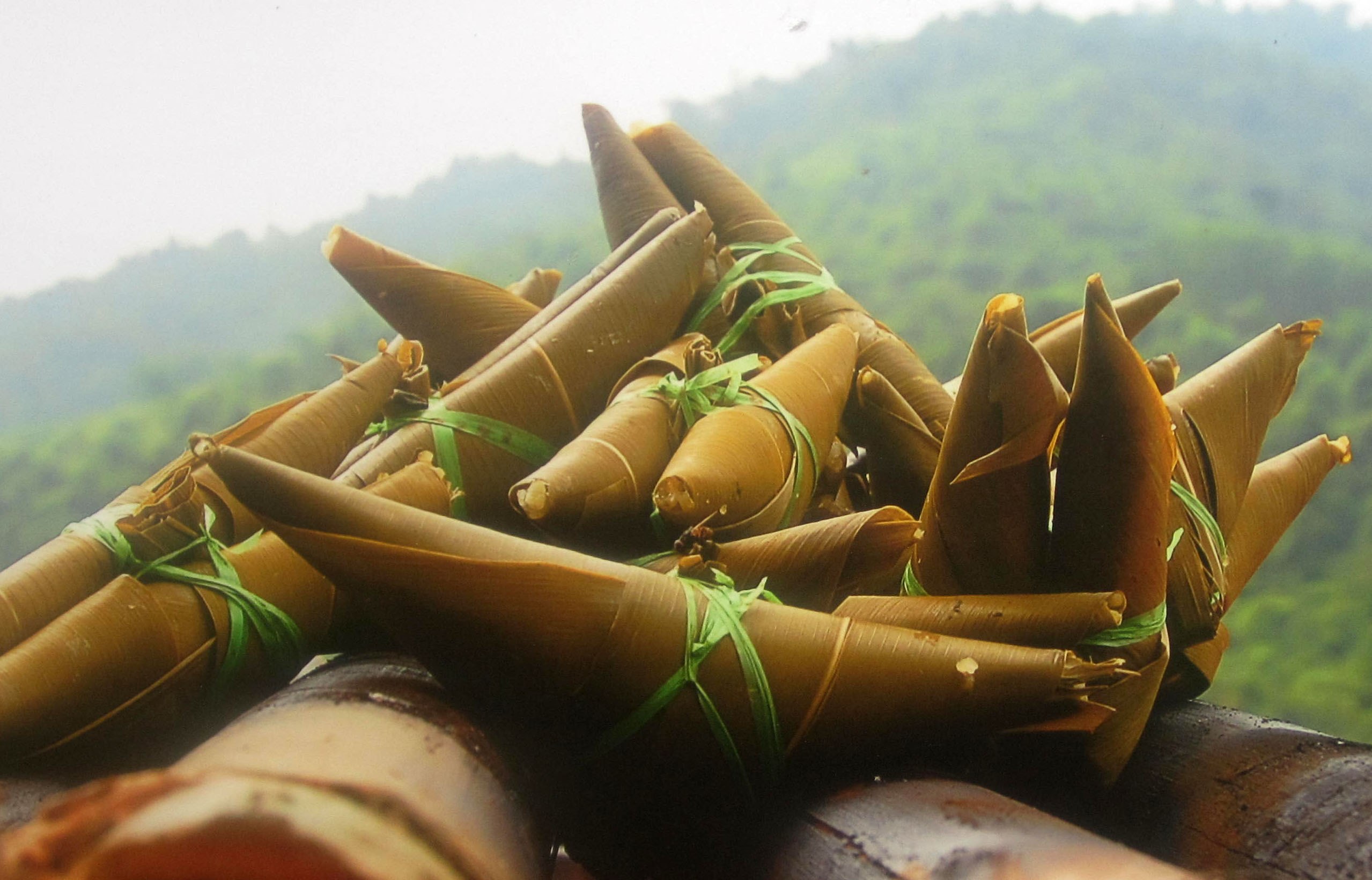 banh sung trau va gia gia